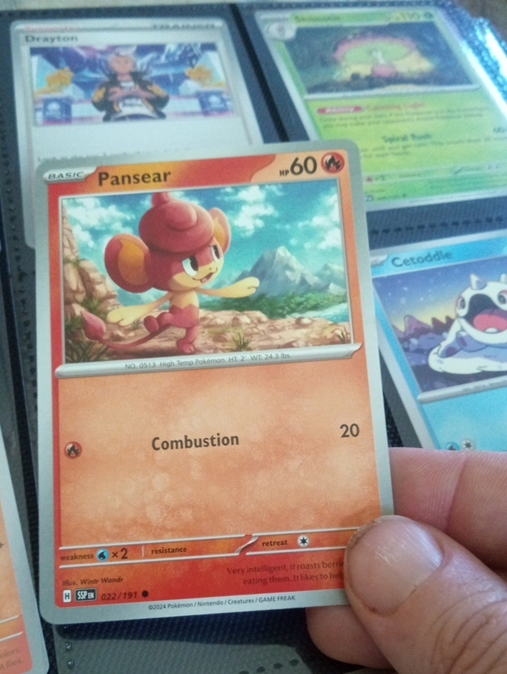 Pokemon Pansear Fire-Type Card - Orange, Red